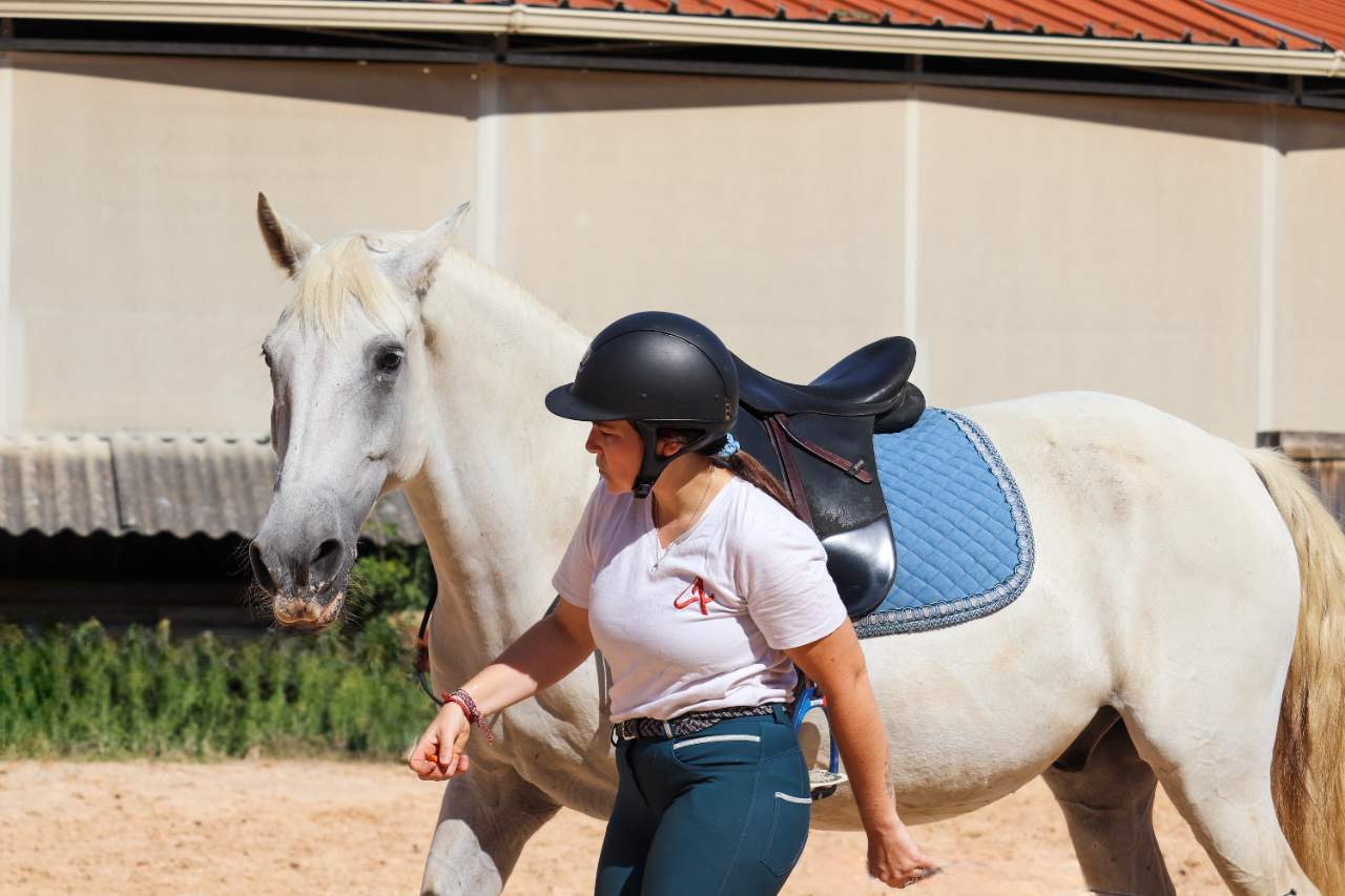 Tapis de selle bleu Oujda posé sur un cheval