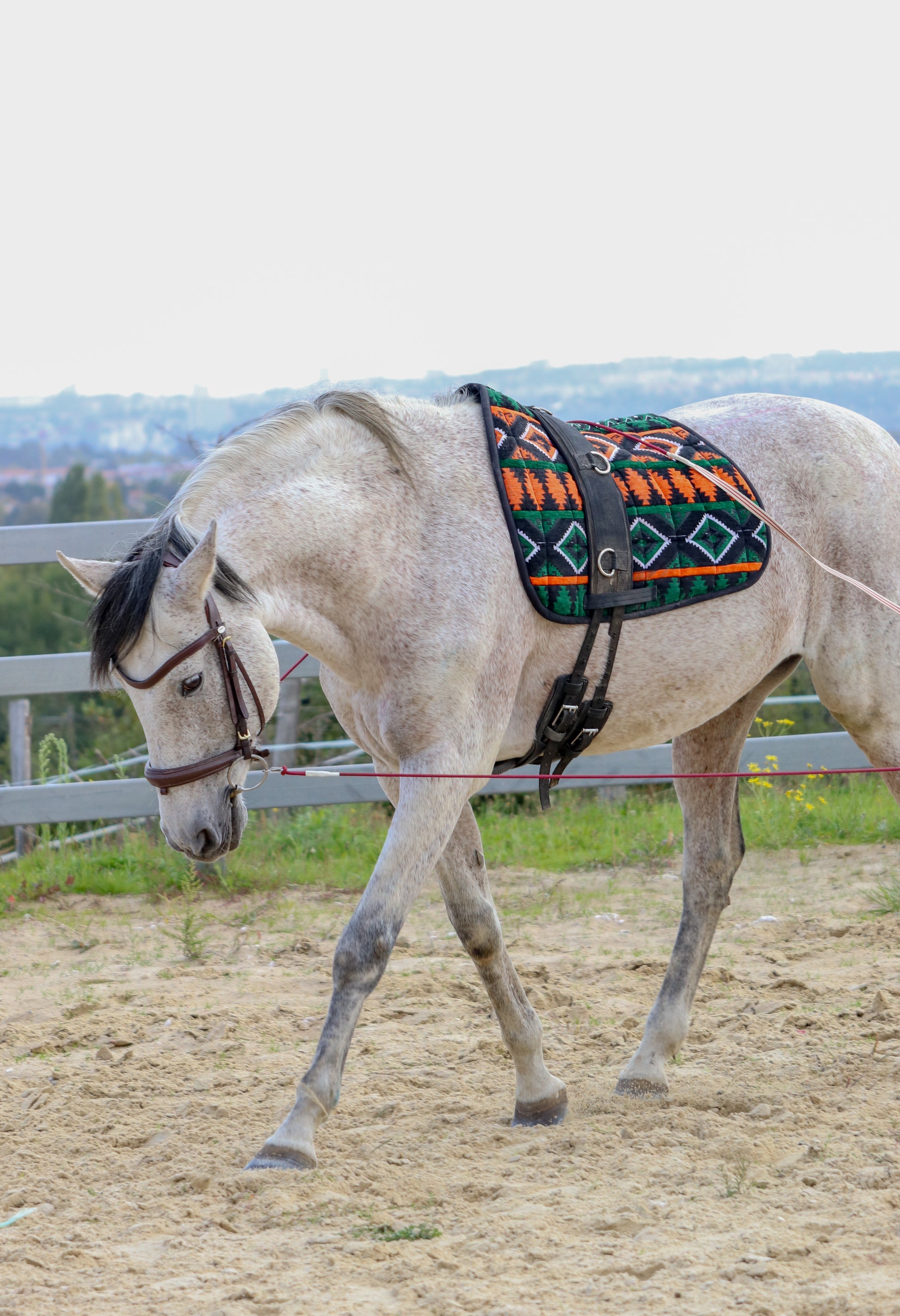 Tapis de selle vert Essaouira posé sur un cheval
